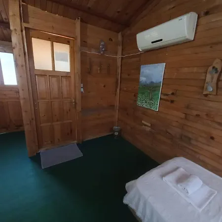 キャンプ場 Shiva Camp Kabak *